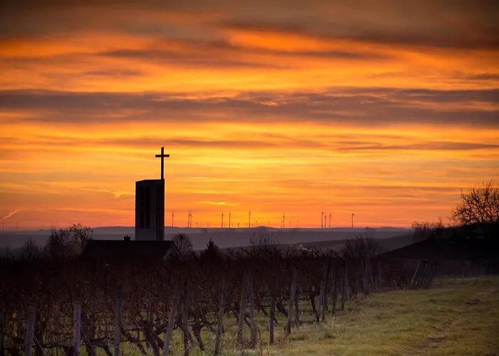 Stilvolle, Gemuetliche Und Haustierfreundliche * Hackenheim